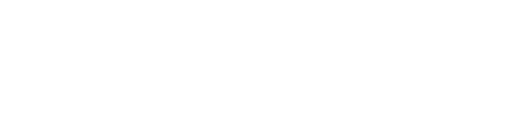 Logo de Noctem sécurité
